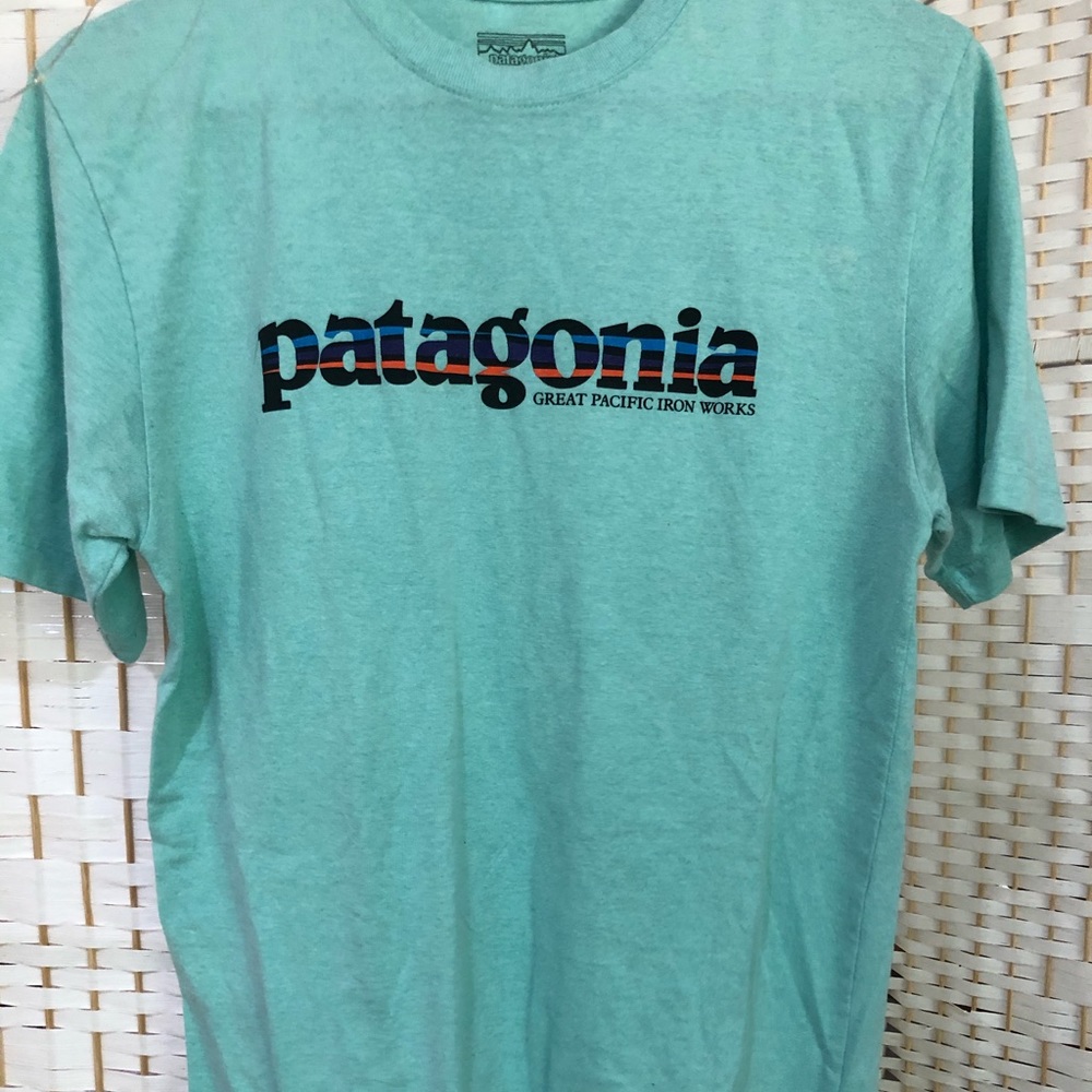 Patagonia tee
